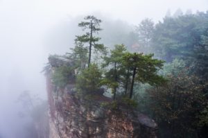 Национальный лес Чжанцзяцзе, Китай